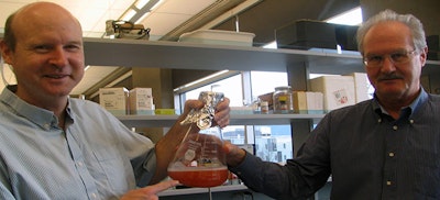 A more efficient bio-battery
