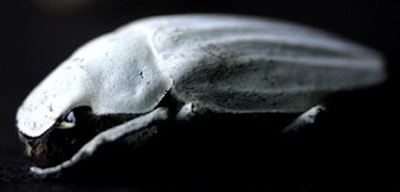 Blackest material ever made sets new record