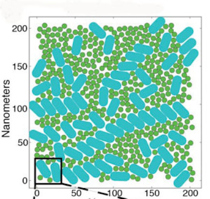 Seeing the big picture in photosynthetic light harvesting