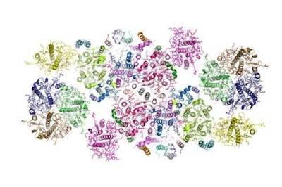 Light-harvesting process in plants clarified
