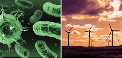 Scientists simulate tiny bacteria-powered windfarm