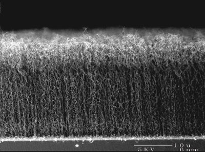 Carbon nanotube webs and biscrolled yarns