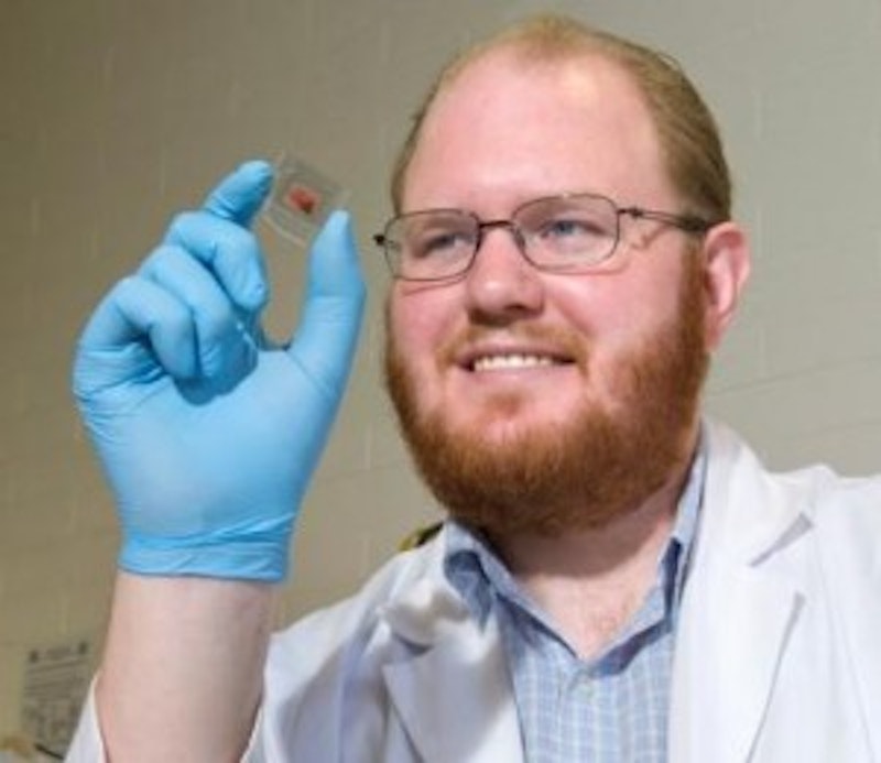 Solar cell turns windows into generators