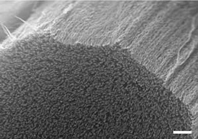 Solid-state energy storage moves forward