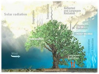 Vibration harvesting