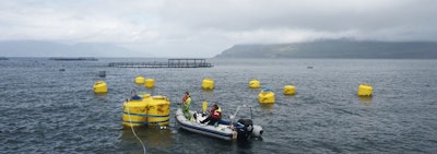 New method of harvesting wave energy