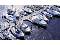 Vibrant electric and hybrid marine business will reach $7.3 billion