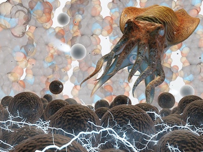 Novel biological sources for battery materials