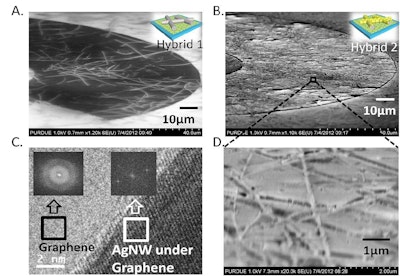 Transparent, electrically conductive, flexible solar cells