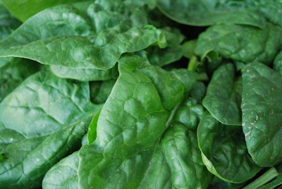 Spinach could lead to plant-mimicking solar cells