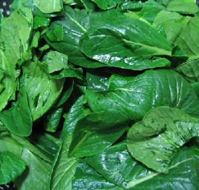 Spinach power gets a major boost