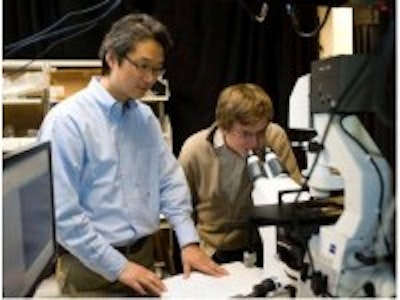 Self-repairing solar cells