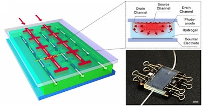Self-healing solar cells channel natural processes