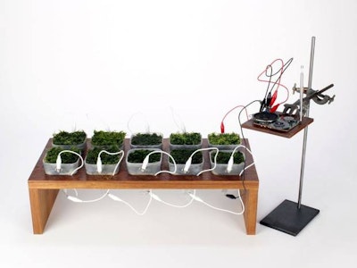 Moss powered FM radio