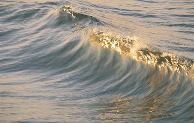 Development of ocean power harvesters