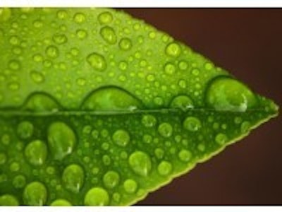 Synthetic leaves for energy scavenging