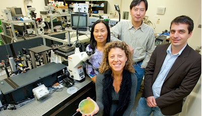 Plasmonic black metals for more efficient solar energy harvesting