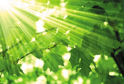 Scientists lay out plans for efficient solar energy harvesting