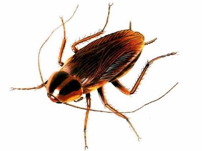 Implanted biofuel cell converts bug's chemistry into electricity