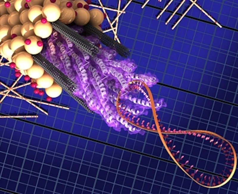 Virus will improve solar power