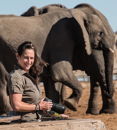 Solar power used to study wild elephants in Africa