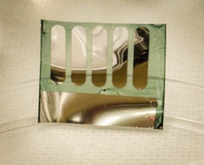 Trees used to create reyclable, efficient solar cell