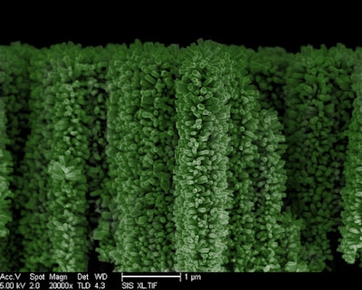 Nanotrees to cleanly harvest the sun's energy