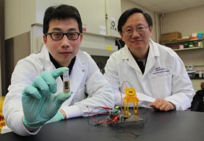 Development of energy dense sugar battery