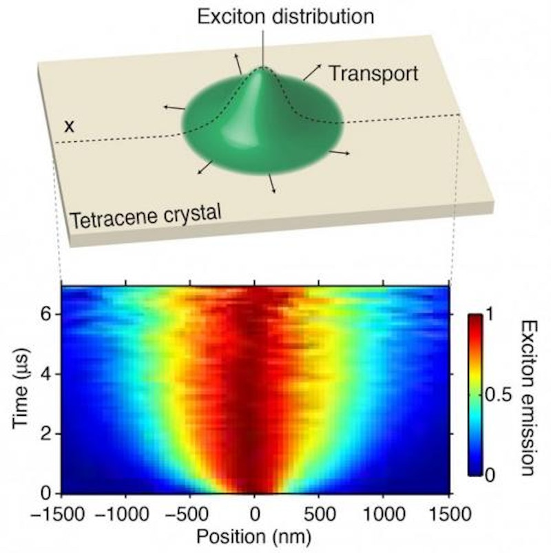 Excitons observed in action for the first time
