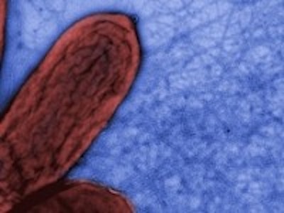 Microbial nanowires capable of long distance electron transport