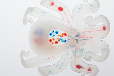 The first autonomous, entirely soft robot