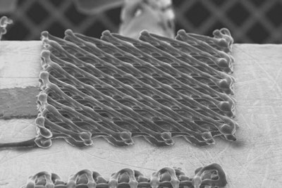 3D printing and nanotechnology to detect toxic liquids