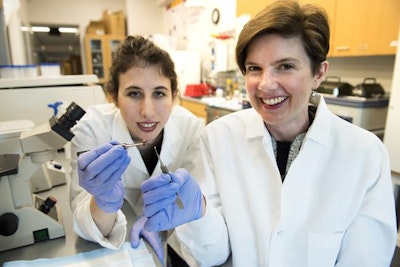 3D printed patch can help mend a broken heart