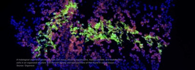 Webinar Thursday 27 July - Introduction to 3D Bioprinting