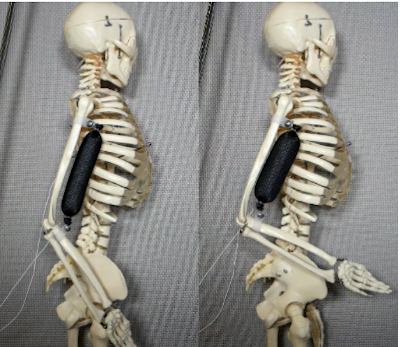 One step closer to lifelike robots