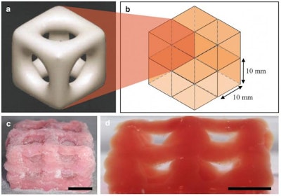 3D printing creates super soft structures that replicate brain, lungs