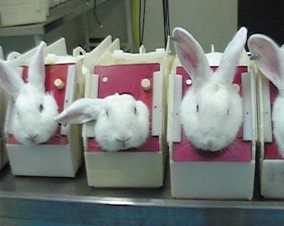 Computer models could replace animal testing