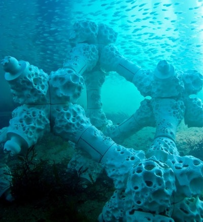 World's largest 3-D printed reef installed at Summer Island Maldives