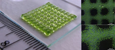 3D bioprinting of living structures with built-in chemical sensors