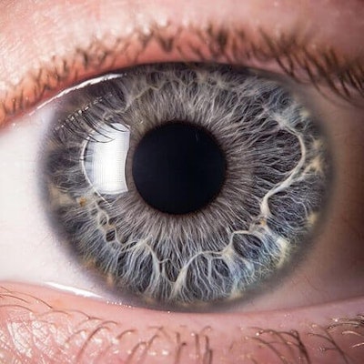 Facility to develop 3D printed corneas