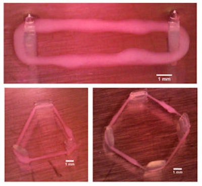 3D bioprinted robots