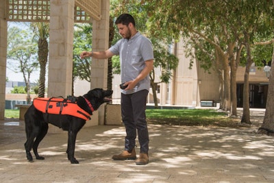 Wearable trains dogs to respond to haptic vibration commands