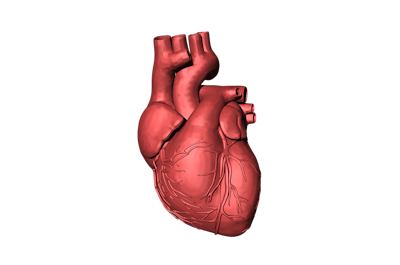 3D printing new parts for our broken hearts