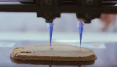 Funding for 3D printed meat