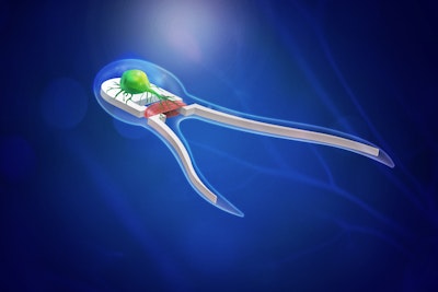 Microscopic biohybrid robots propelled by muscles, nerves