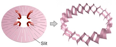 Electronics Integrated to the Muscle via 'Kirgami'