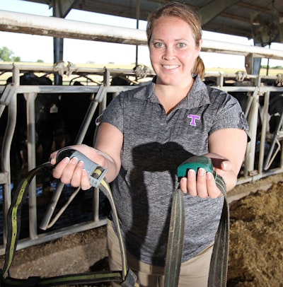 Fitbits for Cows: Technology for Higher Yields, Happier Cows