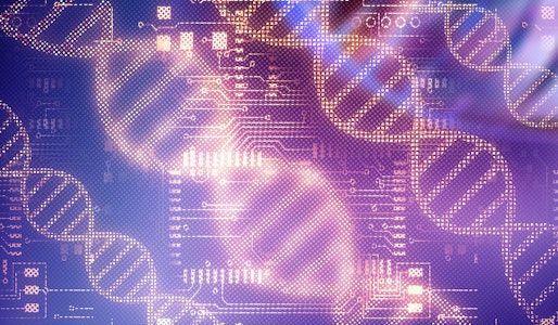 Where are the Market Opportunities in Molecular Diagnostics?