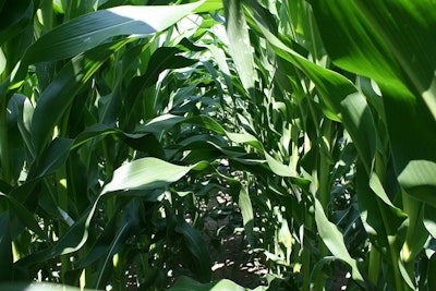 Digital Farming: Why its Time for Agriculture to Embrace IoT