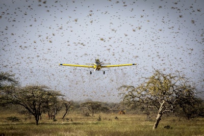 In East Africa, a Race to Outsmart Locusts with Drones and Data